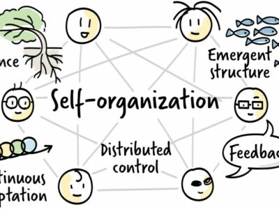 Mastering Self-Organizing Teams: Expert Guidance